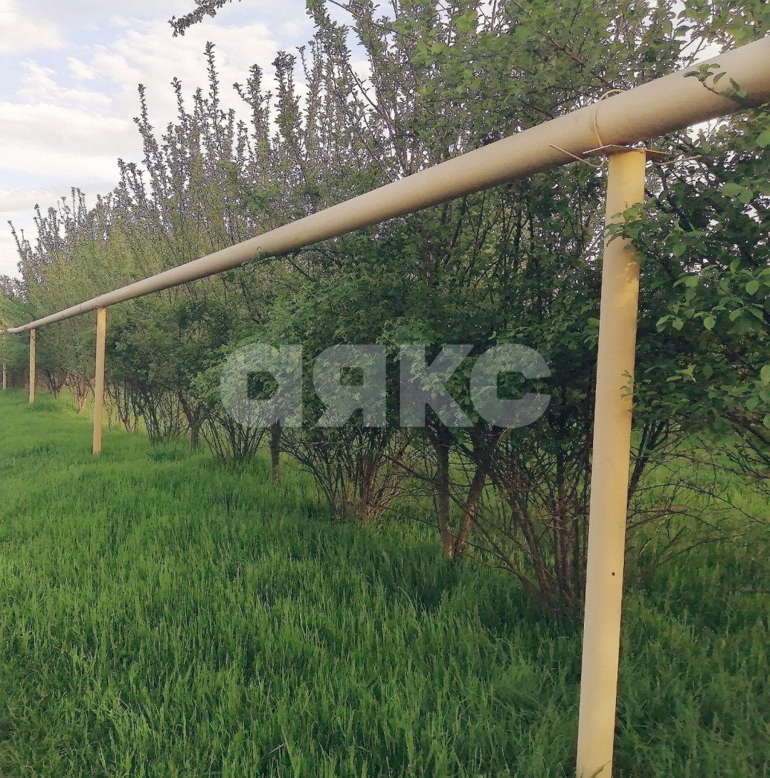 Фото №4: Дача 25 м² + 6.5 сот. - Армавир, мкр. СНТ Заря Востока, пр-д Прочный, 7